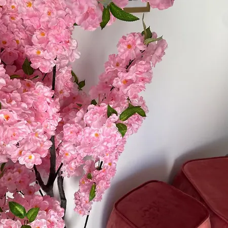 Signature - Flower Flair דירה ווינטרברג